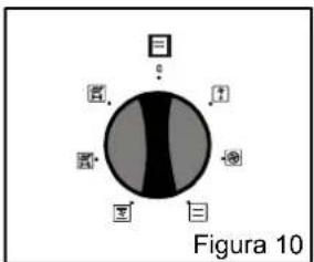 日 Figura 10