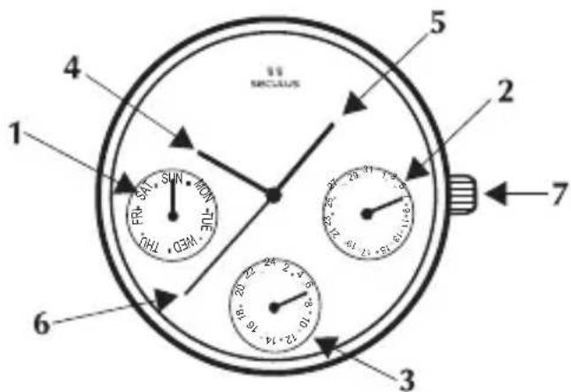 1 2 3 4 5 6 7 SINCEUS FRY SAT SUN MON TUE THQ GEM. TUE
