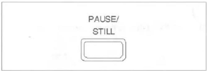 PAUSE/ STILL