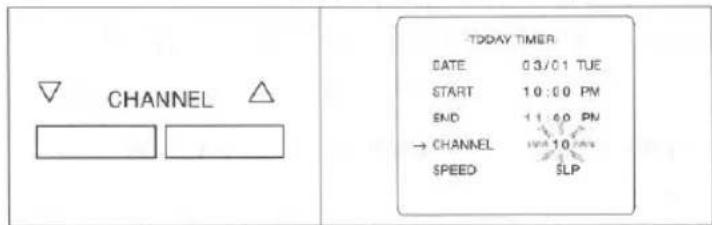 CHANNEL -TODAY TIMER DATE 03/01 TUE START 10:00 PM END 11:00 PM → CHANNEL 10:00 PM SPEED SLP
