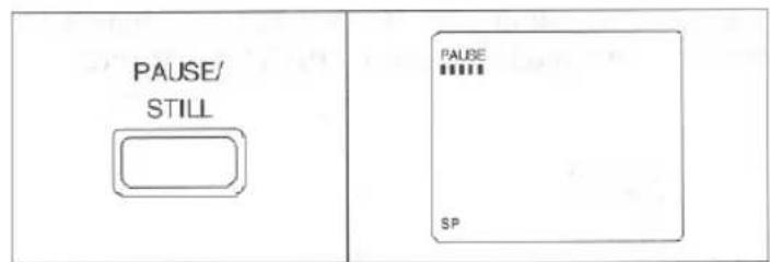 PAUSE/ STILL SP