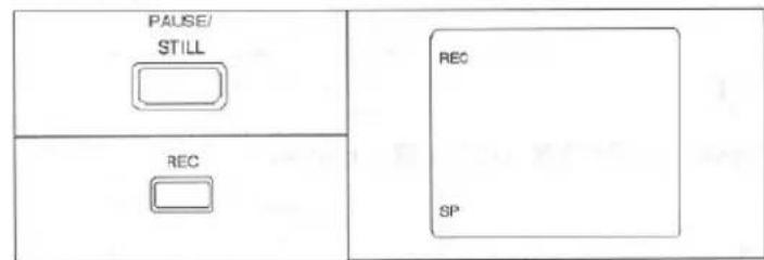 PAUSE/ STILL REC SP