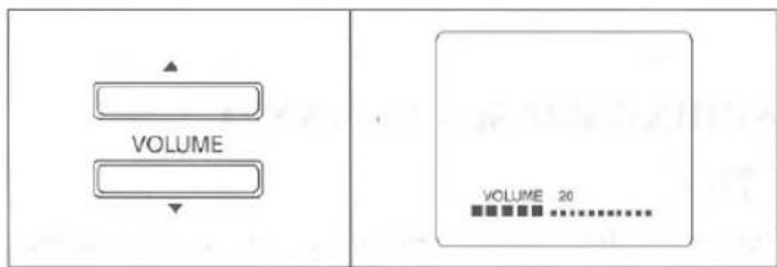 VOLUME VOLUME 20