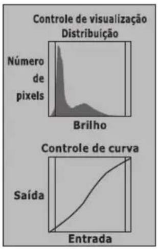 Controle de visualização Distribuição Número de pixels Brilho Controle de curva Saída Entrada