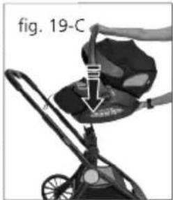 fig. 19-C