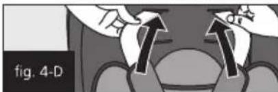 fig. 4-D