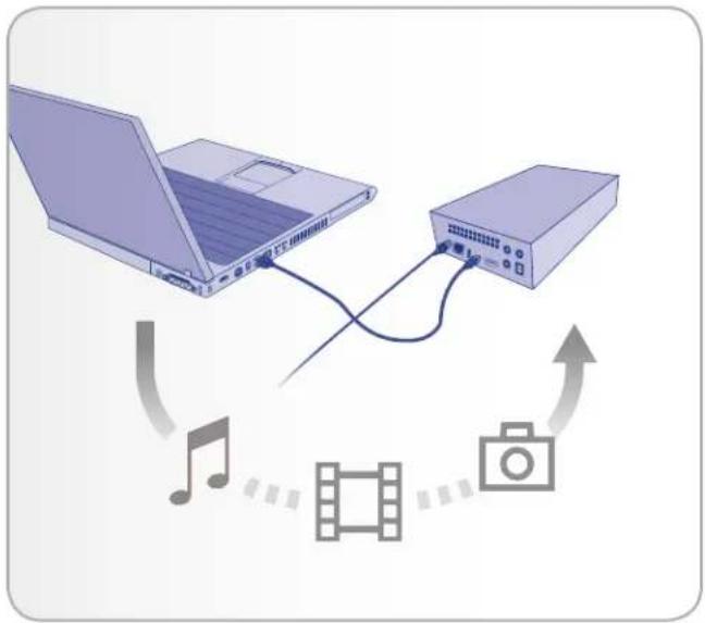 LACIE 301865KUA - Setting Up: Transferring Files - 1