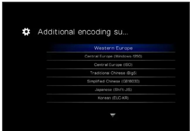 Additional encoding su... Western Europe Central Europe (Windows-1250) Central Europe (ISO) Traditional Chinese (Big5) Simplified Chinese (GB18030) Japanese (Shift-JIS) Korean (EUC-KR)