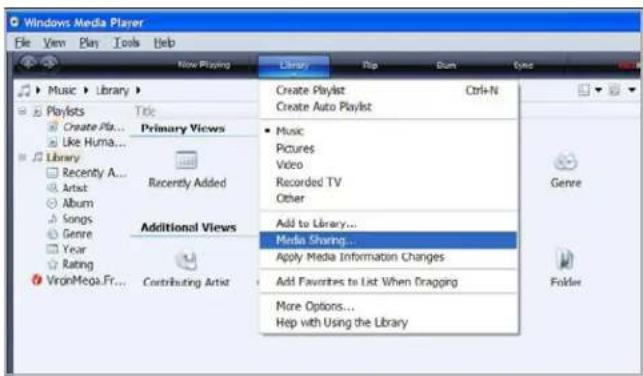 Windows Media Player File View Plan Tools Help Now Playing Library Pop Sum Type Music > Library > Playlists Create Play... Like Huma... Library Recently A... Artist Album Songs Genre Year Rating VironMega.Fr... Title Primary Views Recently Added Additional Views Contributing Artist Create Playlist Ctrl+N Create Auto Playlist Music Pictures Video Recorded TV Other Add to Library... Media Sharing... Apply Media Information Changes Add Favorites to List When Dragging More Options... Help with Using the Library Genre Folder
