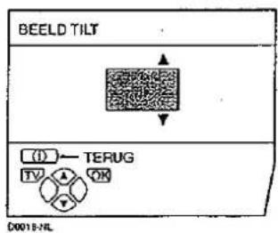 BEELD TILT TERUG D0018-NL