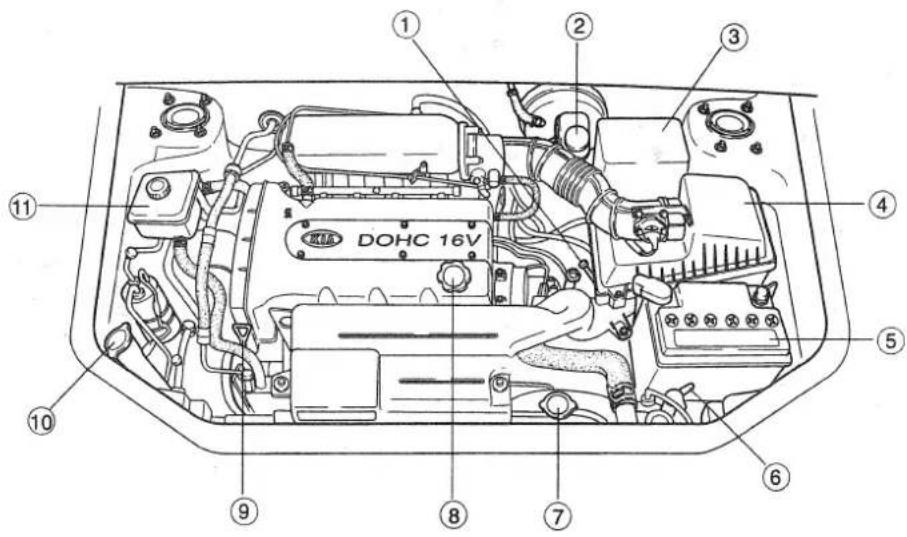 DOHC 16V ① ② ③ ④ ⑤ ⑥ ⑦ ⑧ ⑨ ⑩ ⑪
