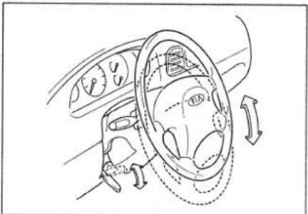 KIA Carens (1999) - OPMERKING - 1