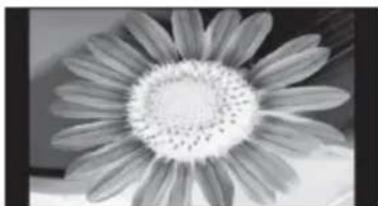 SENCOR SLE 48F12 - SENCOR® - 1