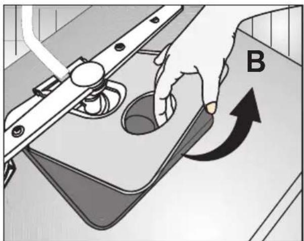 B