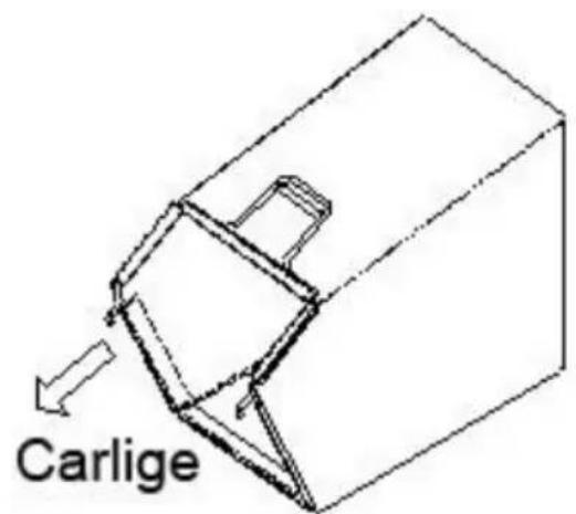 Carlige