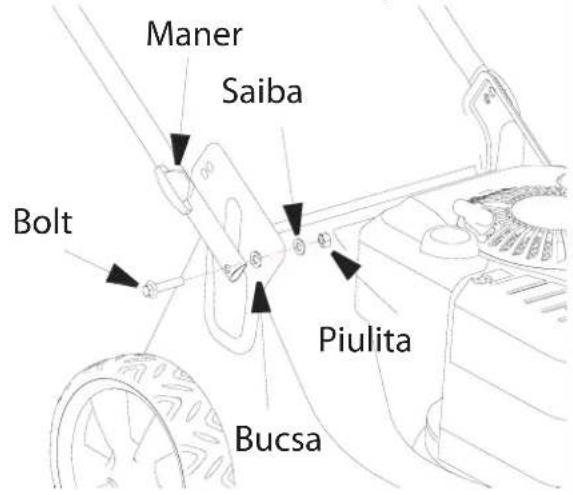 Maner Saiba Bolt Piulita Bucsa