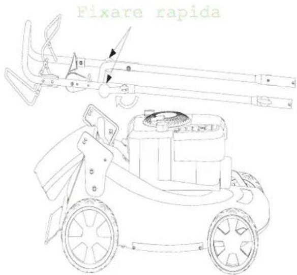 Fixare rapida