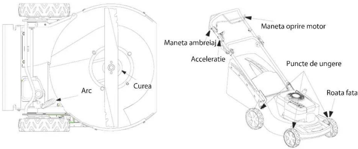 Maneta oprire motor Maneta ambreiaj Acceleratie Puncte de ungere Roata fata Arc Curea