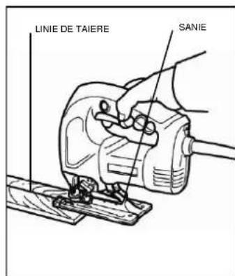 LINIE DE TAIERE SANIE