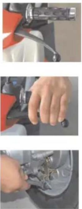 Peda Shotgun 50 - IMPORTANT: - 2