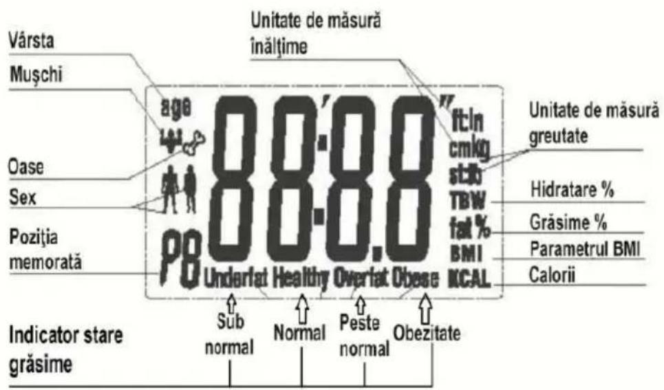 Vårsta Muşchi Oase Sex Pozitia memorată Indicator stare grăsime Sub normal Normal Peste normal Obzitate Unitate de măsură înălțime 88.8 Underlat Healthy Overlat Obese ft/in cmkg stib TBW fat % BMI KCAL Unitate de măsură greutate Hidratare % Grăsime % Parametrul BMI Calorii