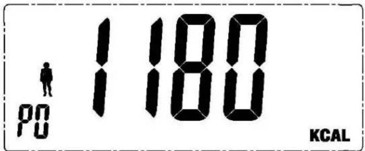 1180 PG KCAL