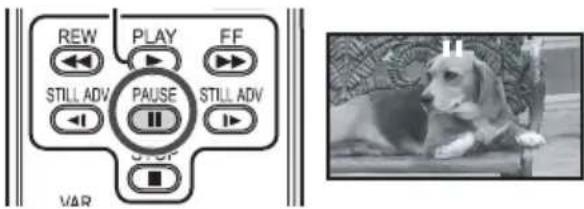 REW PLAY FF STILL ADV PAUSE STILL ADV STOP VAR