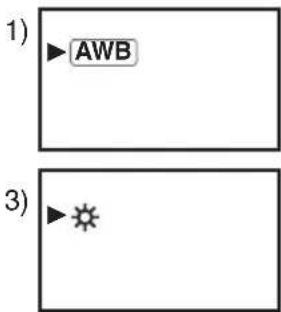 1) AWB 3)