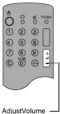 AdjustVolume