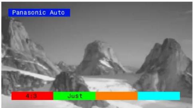 Panasonic Auto 4:3 Just