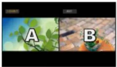 A B