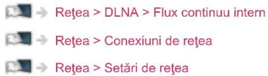 Rețea > DLNA > Flux continuu intern Rețea > Conexiuni de rețea Rețea > Setări de rețea