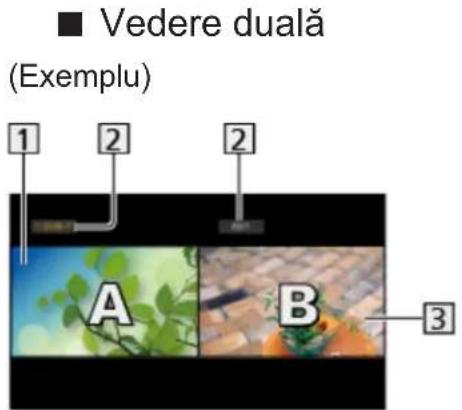 ■ Vedere duală (Exemplu) 1 2 2 A B 3