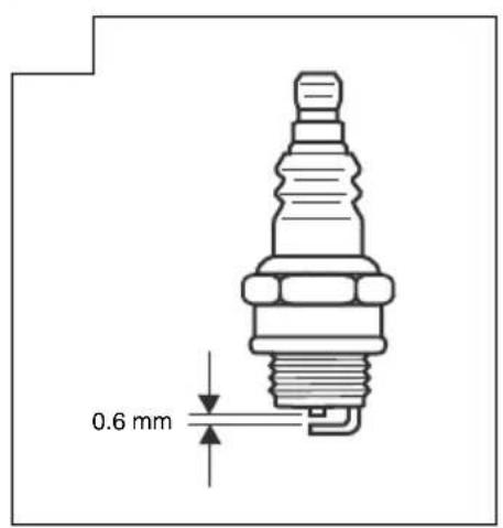 0.6 mm