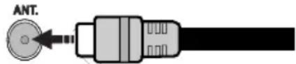 GRANDIN LD50V274 - Branchement de l'antenne/Câble - 1