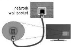 network wall socket