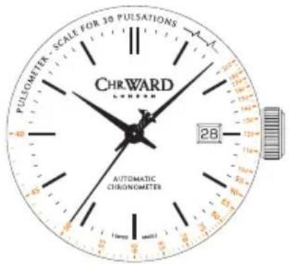 PULSOMETER SCALE FOR 30 PULSATIONS CHRWARD AUTOMATIC CHRONOMETER