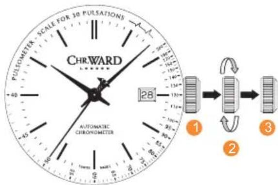PULSOMETER SCALE FOR 30 PULSATIONS CHRWARD AUTOMATIC CHRONOMETER 1 2 3