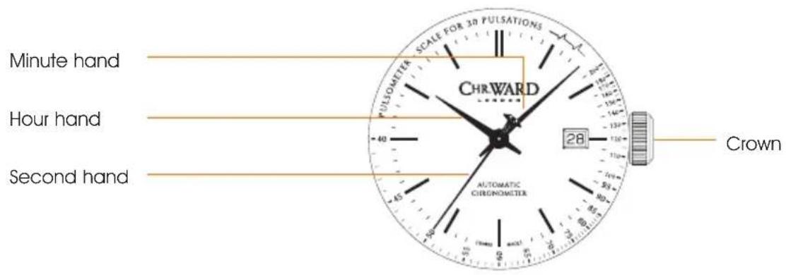 Minute hand Hour hand Second hand CHRWARD AUTOMATIC CHRONOMETER 28 Crown
