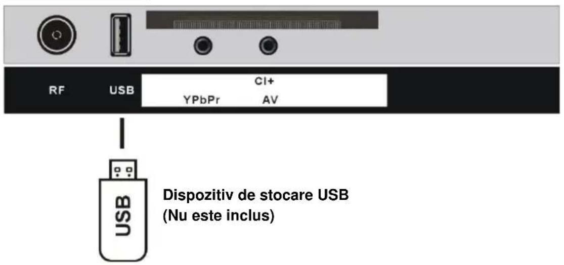 RF USB CI+ YPbPr AV USB Dispositiv de stocare USB (Nu este inclus)