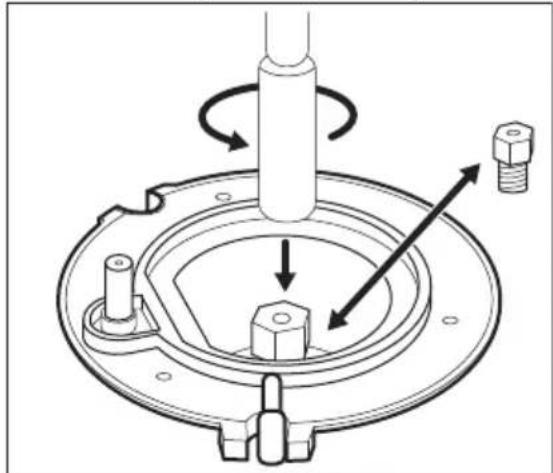 ELECTROLUX LKG604003X - Înlocuirea injectoarelor plitei - 1