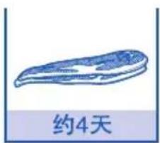 约4天