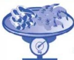 HAIER BCD-490WDEA - 冷冻食品注意事项 - 7