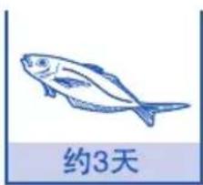 约3天
