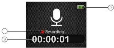 Recording 00:00:01