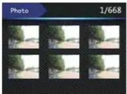 Grid of six identical outdoor photos with trees, no visible text or symbols