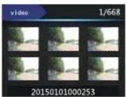 Grid of six identical square images with green trees, displayed within a video player interface (no text or symbols on images)