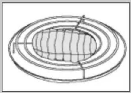 Diagram of concentric circular layers with a central oval structure and internal grid lines (no text or symbols)