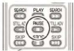 SEARCH PLAY SEARCH STILL ADV TILL ADV SKIP STOP SKIP