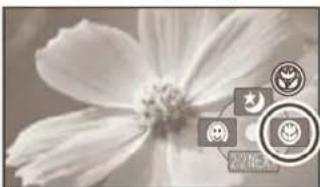 PANASONIC SDR-H20EP - Funcția tele macro (SDR-H250) - 2